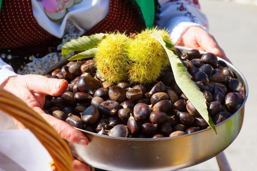 Празник на брежанския кестен