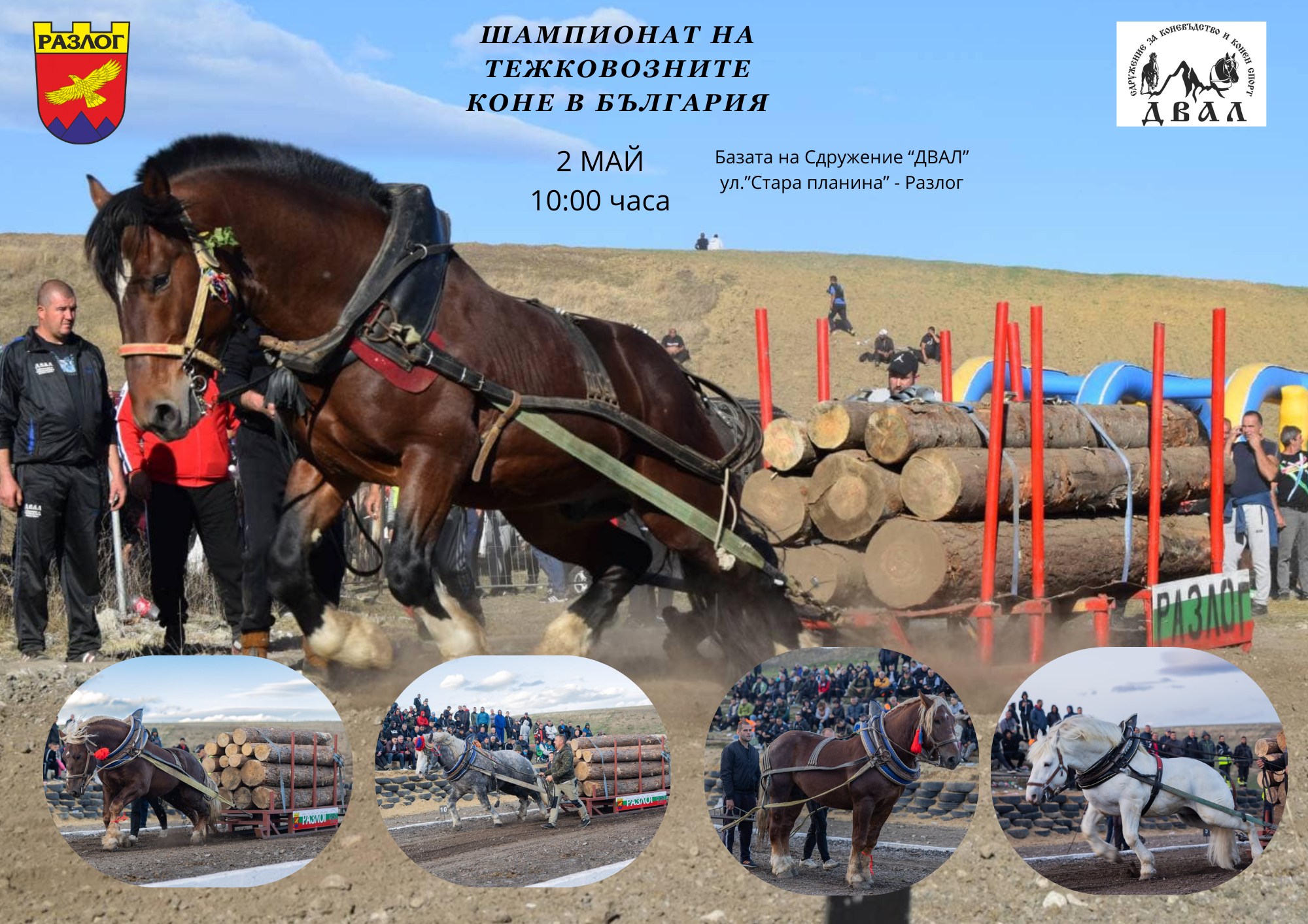 Шампионатът на тежковозните коне